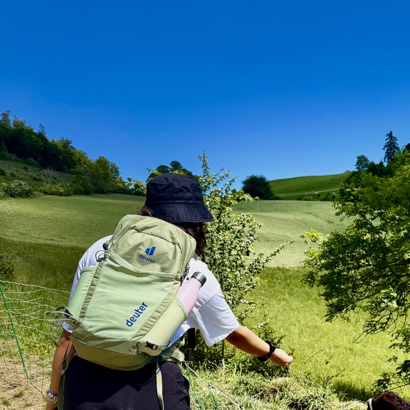 Perfetto per il fast hiking